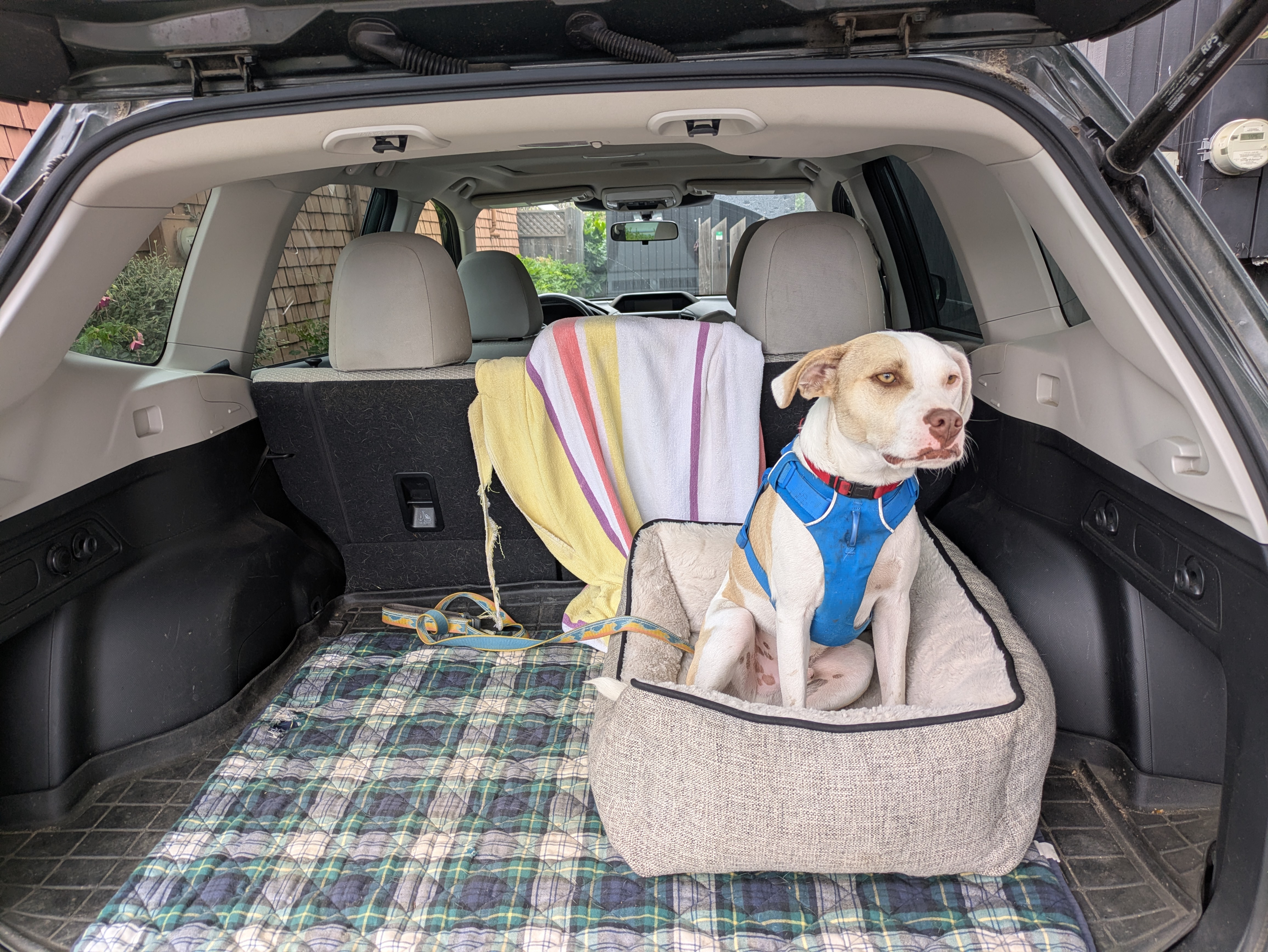 Tucker on his way to stay with Ashish